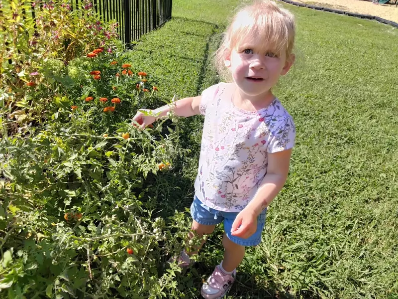 A smiling preschooler in the garden beside a flowering bush.