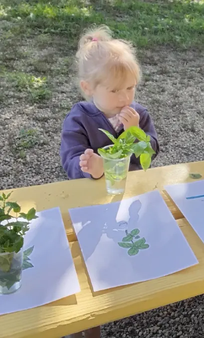 A preschooler holds a sprig of herbs up to smell it at an outdoor table.